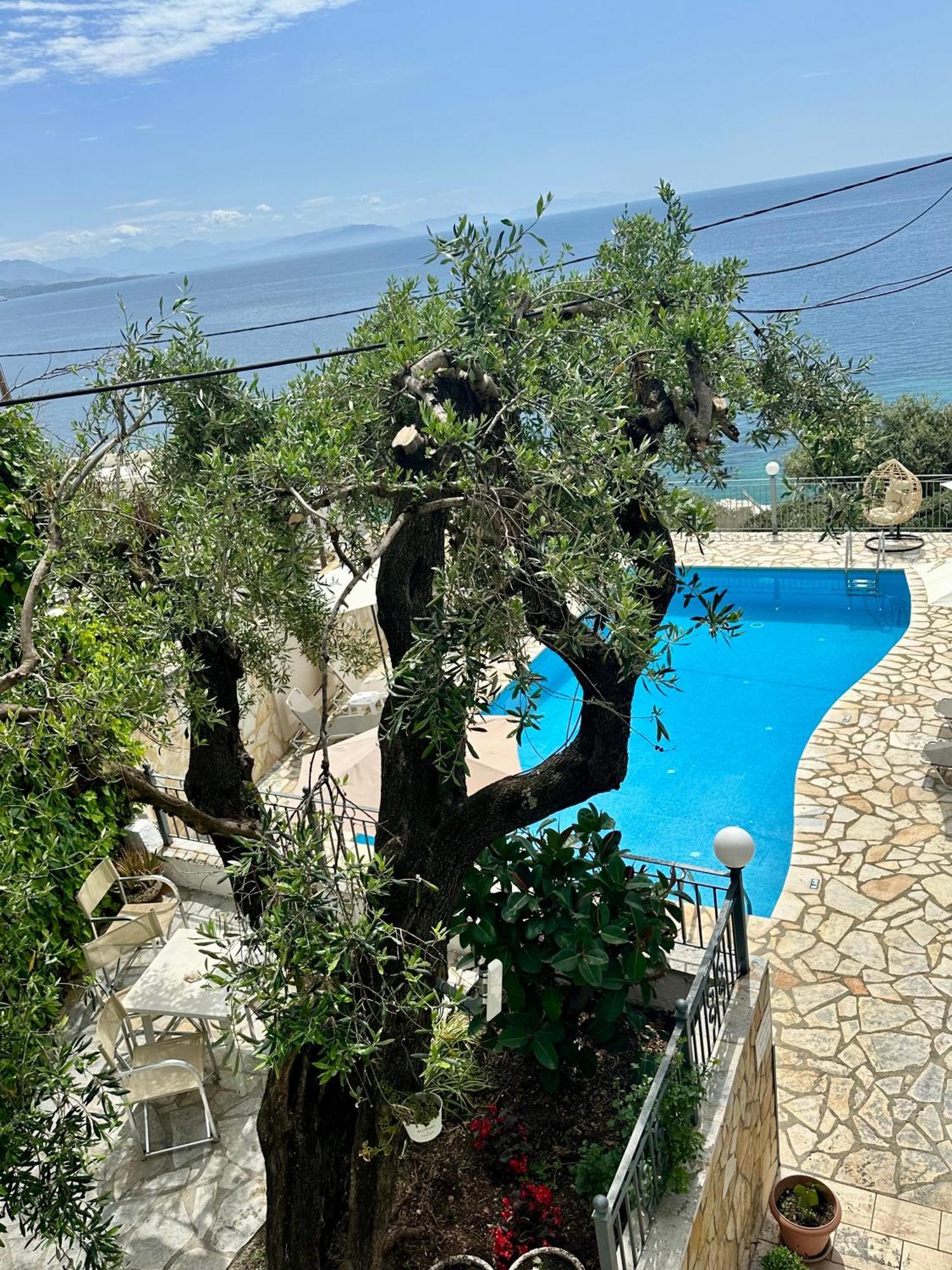 בארבאטי Vladimiros Apartments מראה חיצוני תמונה